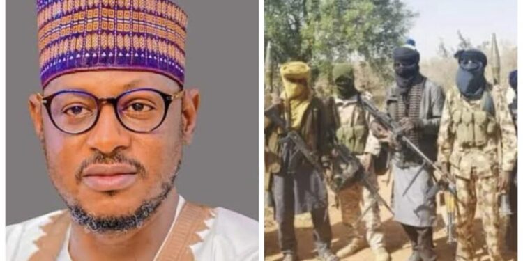 Rampaging bandits kill at least 130 policemen, soldiers, community guards in Katsina