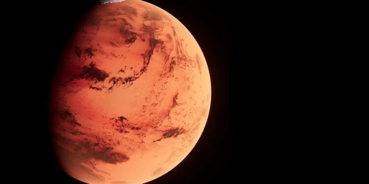 Largest known Mars rock on Earth sells for $5.3M at New York auction