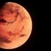 Largest known Mars rock on Earth sells for $5.3M at New York auction
