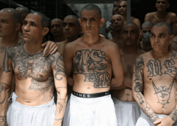 Mexican drug cartels emerging in West Africa; ISIS has franchise in South Africa: USAFRICOM