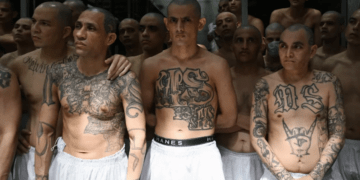 Mexican drug cartels emerging in West Africa; ISIS has franchise in South Africa: USAFRICOM