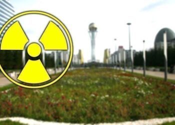 Radioactive wasp nest found at former Cold War nuclear weapons site in South Carolina