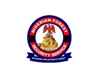 Forest security operatives rescue kidnap victim, nab kidnapper in Kwara