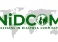 Plans underway to rescue stranded Nigerians in Central African Republic: FG