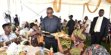 I don’t have house help; I sweep, clean my house: Peter Obi