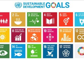 Only 35% of sustainable development goals on track to meet target: UN
