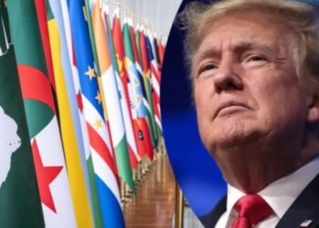 Trump hosts 5 African leaders: Trick or trade?