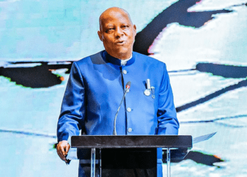 Nigeria deploying AI, other technologies to monitor food production: Shettima