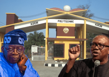 Practising Tinubu’s snatch-grab-run-with-it political philosophy ruining Nigeria: Peter Obi