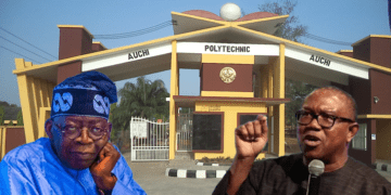 Practising Tinubu’s snatch-grab-run-with-it political philosophy ruining Nigeria: Peter Obi