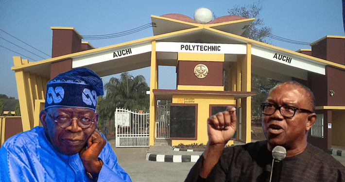 Practising Tinubu’s snatch-grab-run-with-it political philosophy ruining Nigeria: Peter Obi