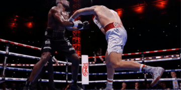 Usyk knocks out Dubois in fifth round, wins unified heavyweight titles