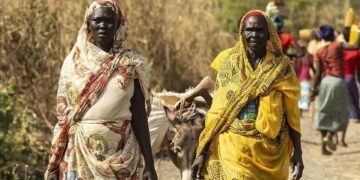 700 Sudanese families flee North Kordofan clashes, UN migration agency says