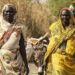 700 Sudanese families flee North Kordofan clashes, UN migration agency says