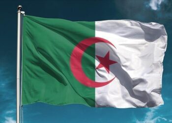 Algeria withdraws VIP airport, port access cards from French Embassy