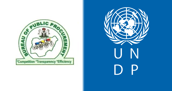 BPP, UNDP renew partnership for digital innovation, institutional reforms