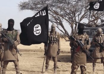Over 1,000 terrorist groups operating across Africa: Gambari