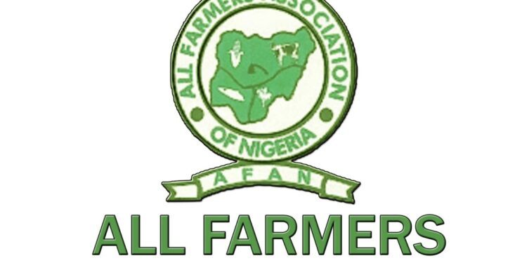 AFAN factional president seeks unity among farmers to grow sector, enjoy govt support