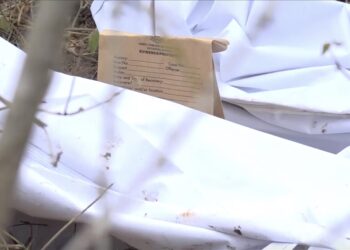 Kenya cult death toll surges to 32 as police admit failures in response