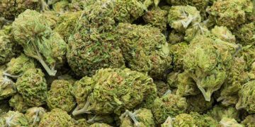120,000 Sri Lankans nabbed in nationwide drug crackdown