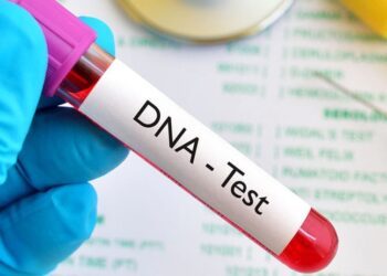 64% of Nigerian firstborn sons more likely to fail paternity test: New DNA Survey