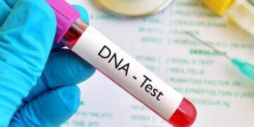 64% of Nigerian firstborn sons more likely to fail paternity test: New DNA Survey