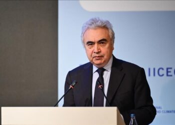 International Energy Agency chief stresses diversification for energy security