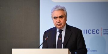 International Energy Agency chief stresses diversification for energy security