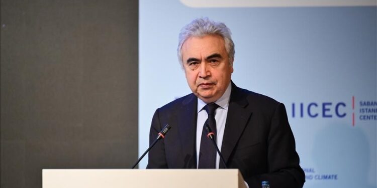 International Energy Agency chief stresses diversification for energy security