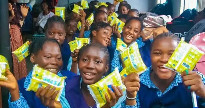 Nigerians urged to end menstrual stigma to support women, girls