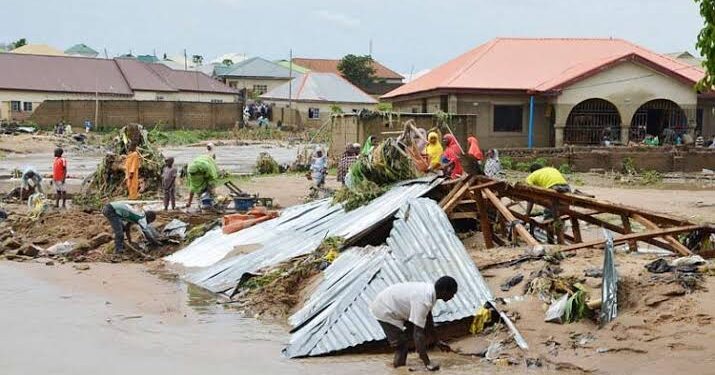 Flood victims seek probe of Adamawa SEMA’s alleged sharing of expired relief materials