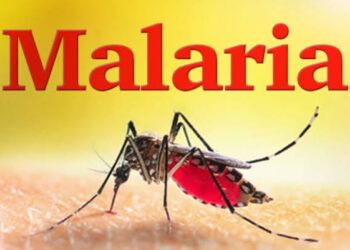 Pest control association renews commitment to malaria elimination