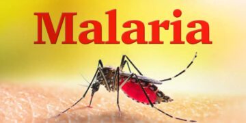 Pest control association renews commitment to malaria elimination