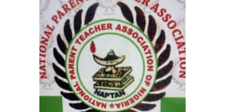 NAPTAN backs FG over closure of 22 illegal colleges of education