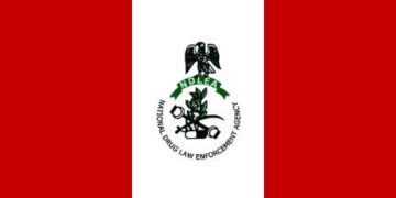 NDLEA seizes 589.536kg of illicit drugs, arrests 107 in Adamawa