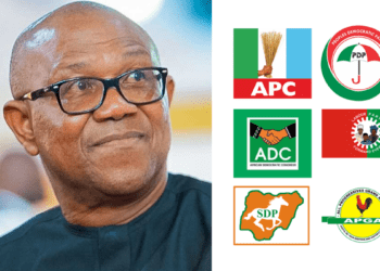 Nigeria’s political parties are lawless: Peter Obi