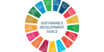 Funding: Public health expert uncertain Nigeria can meet SDGs target on maternal, child deaths
