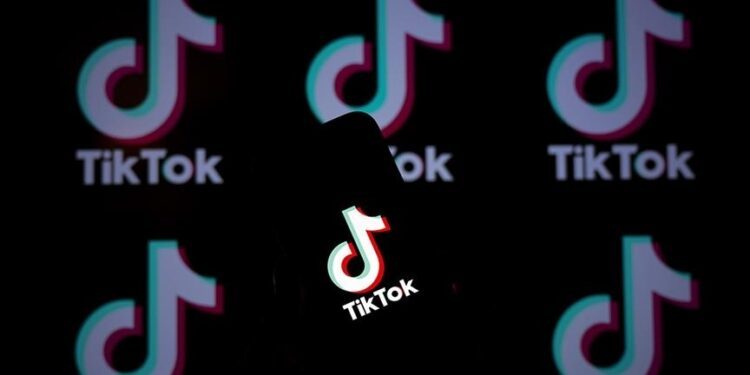 Cambridge Dictionary adds TikTok words to new edition