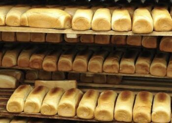 Bauchi bakers seek modern equipment to improve bread quality