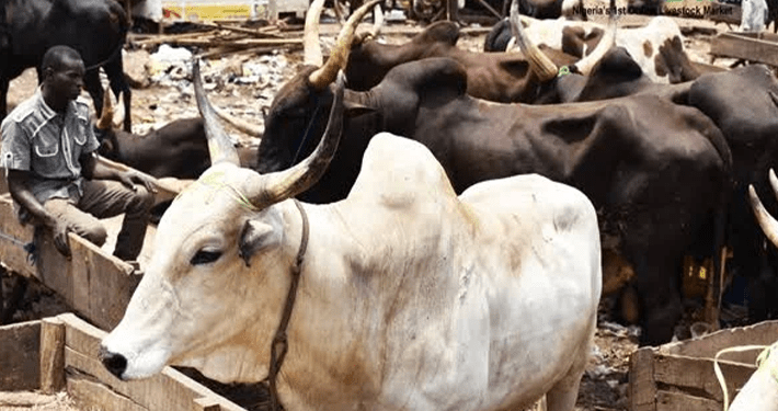 Seven Kwara LG chairs shut cattle markets indefinitely over insecurity