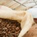 Cocoa falls more than 40% amid waning drought concerns, increasing harvest