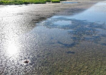 Global water crisis deepens as floods, droughts intensify: WMO Report