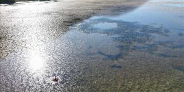 Global water crisis deepens as floods, droughts intensify: WMO Report