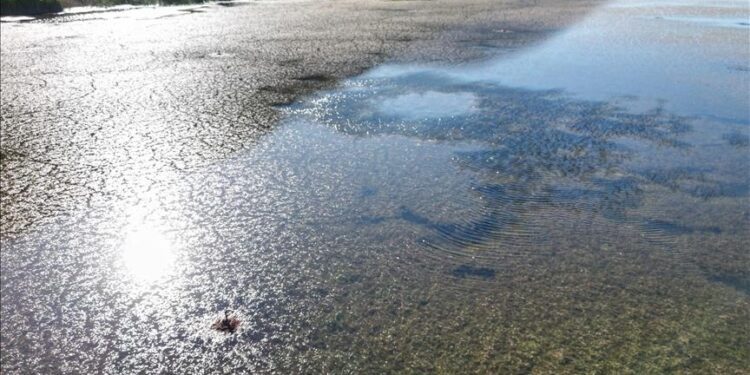 Global water crisis deepens as floods, droughts intensify: WMO Report