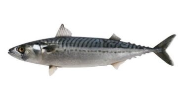 FCT residents lament soaring prices of fish, beef