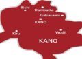 Kano bans use of chainsaw for illegal tree cutting, violators risk jail