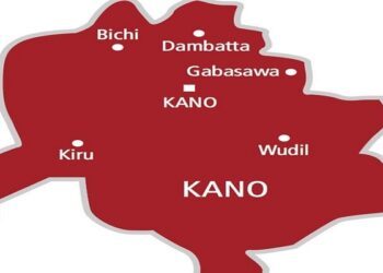 Kano bans use of chainsaw for illegal tree cutting, violators risk jail