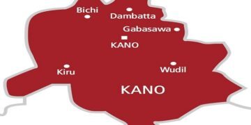 Kano bans use of chainsaw for illegal tree cutting, violators risk jail