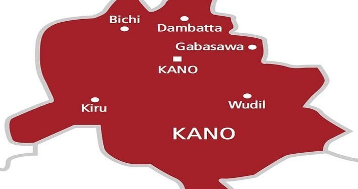 Kano bans use of chainsaw for illegal tree cutting, violators risk jail