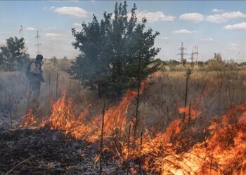 Namibia deploys army to battle raging fire in Etosha National Park